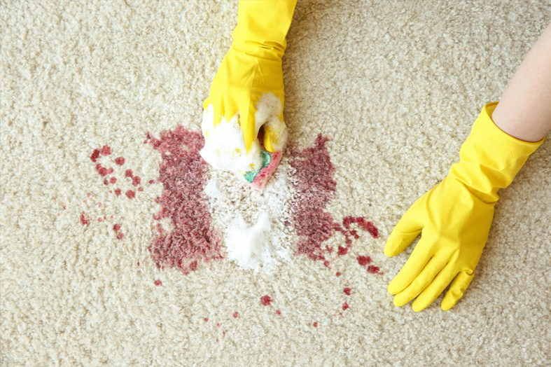 Stain-Proof Rugs: Do They Really Work?